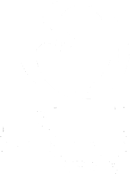 New Life Logo Website