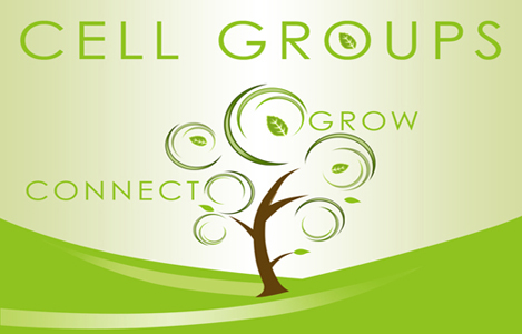 cell groups