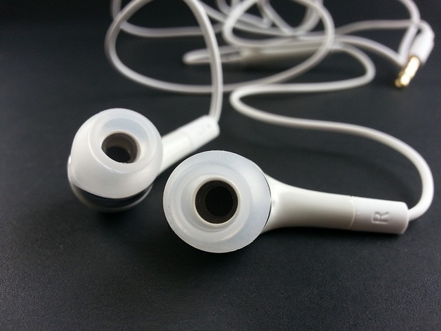 earphone 316753 640